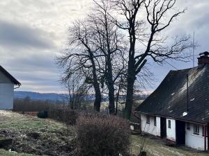 Prodej rodinného domu, Písařov, 1596 m2