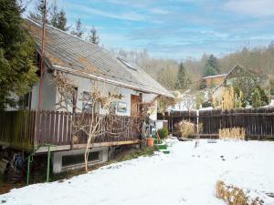 Prodej chaty, Kyselka - Radošov, 50 m2