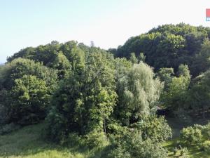 Prodej louky, Vlksice - Klokočov, 1834 m2