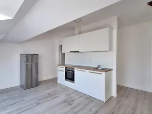 Pronájem bytu 1+kk, Praha - Bubeneč, U zeměpisného ústavu, 34 m2