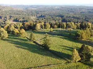 Dražba louky, Šindelová, 5003 m2