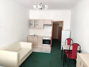 Prodej bytu 1+kk, Praha - Nusle, Slavojova, 27 m2