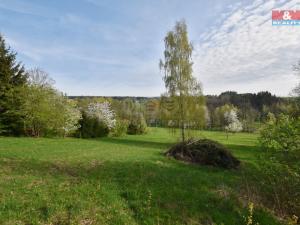 Prodej pozemku pro bydlení, Brzice - Proruby, 2428 m2