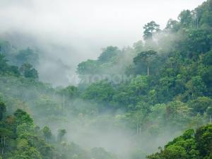 Prodej rodinného domu, Puerto Carrillo, Kostarika, 210 m2