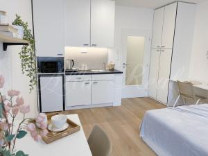 Pronájem bytu 1+kk, Brno - Zábrdovice, Bratislavská, 30 m2