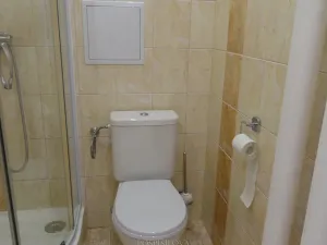 Pronájem bytu 1+1, Kladno, U výtopny, 32 m2