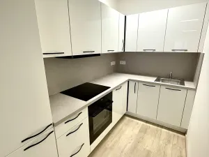 Pronájem bytu 2+kk, Praha - Žižkov, Basilejské náměstí, 69 m2