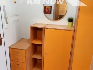 Pronájem bytu 1+kk, Kroměříž, Obvodová, 45 m2