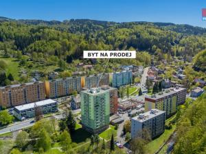 Prodej bytu 2+1, Desná - Desná II, Krkonošská, 54 m2