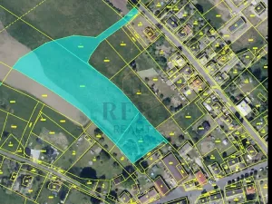 Prodej pozemku pro bydlení, Stanovice, 10000 m2
