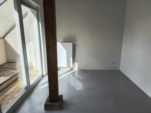 Pronájem bytu 2+kk, Praha - Žižkov, Jeronýmova, 80 m2