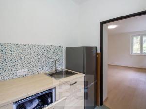 Pronájem bytu 1+1, Praha - Podolí, Břidličná, 34 m2