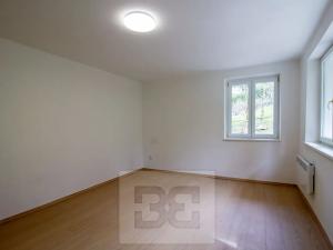 Pronájem bytu 1+1, Praha - Podolí, Břidličná, 34 m2