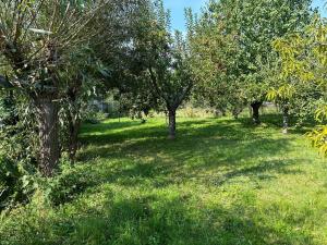 Prodej rodinného domu, Bílé Podolí, 170 m2