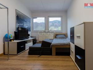 Prodej bytu 3+1, Česká Ves, Tichá, 67 m2