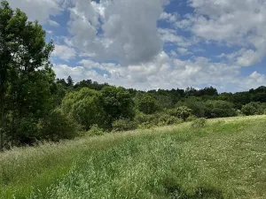 Prodej podílu pozemku, Suchdol, 9027 m2