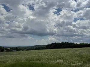 Prodej podílu pozemku, Suchdol, 9027 m2