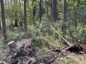 Prodej podílu pozemku, Velký Ratmírov, 3510 m2