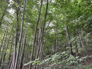 Prodej podílu pozemku, Útěchov, 37614 m2