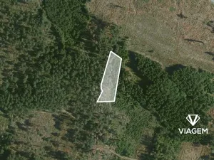 Prodej podílu lesa, Tomice, 1485 m2