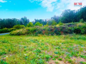 Prodej pozemku pro bydlení, Buš, 3127 m2