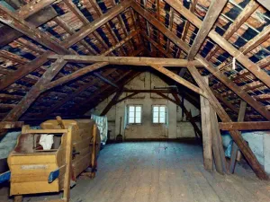 Prodej chalupy, Blížejov, Ke Hřbitovu, 256 m2