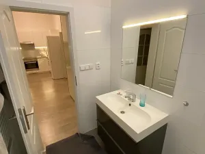 Prodej bytu 2+kk, Praha - Vinohrady, Lucemburská, 50 m2