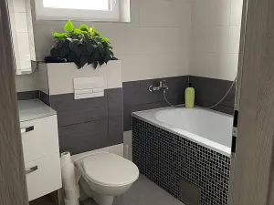 Pronájem rodinného domu, Kaplice, Polní, 155 m2