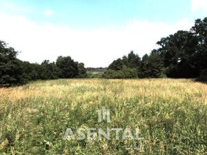 Prodej pozemku, Karviná - Louky, 285924 m2