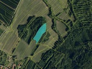 Prodej lesa, Starý Jičín, 12582 m2