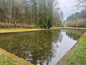Prodej bytu 2+1, Konstantinovy Lázně, Zahradní, 55 m2