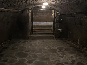 Prodej rodinného domu, Stvolínky, 375 m2