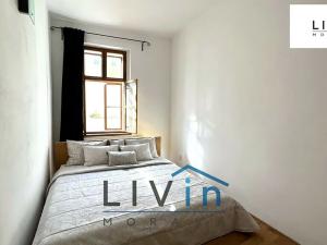 Pronájem bytu 1+1, Olomouc, Kapucínská, 23 m2
