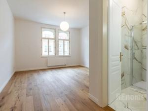 Pronájem bytu 4+kk, Praha - Vinohrady, Třebízského, 115 m2