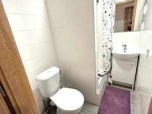 Pronájem bytu 1+kk, Praha - Černý Most, Vlčkova, 18 m2