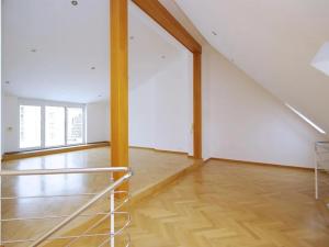 Pronájem bytu 5+kk, Praha - Vinohrady, Anny Letenské, 170 m2