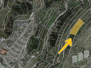 Prodej louky, Semily, 11850 m2