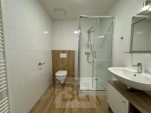 Pronájem bytu 2+kk, Brno, Stavební, 60 m2