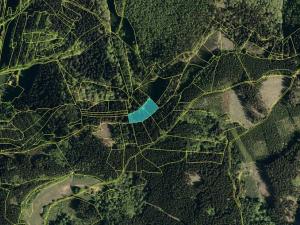 Prodej podílu lesa, Valašská Polanka, 1343 m2