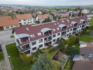 Prodej bytu 2+kk, Brno, Sokolnická, 60 m2