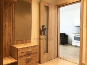 Pronájem bytu 1+kk, Praha - Žižkov, Olšanská, 35 m2