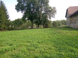 Prodej zemědělské usedlosti, Sezemice, 200 m2