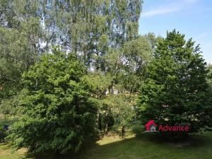 Pronájem bytu 2+1, Ostrava, Sokolovská, 59 m2