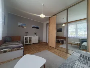 Prodej bytu 2+1, Jihlava, Březinova, 48 m2