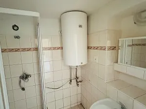 Prodej vícegeneračního domu, Pavlovice u Kojetína, 300 m2