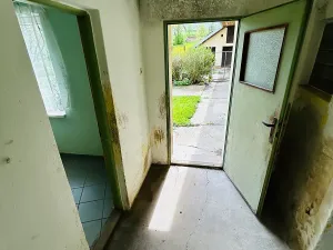 Prodej vícegeneračního domu, Pavlovice u Kojetína, 300 m2