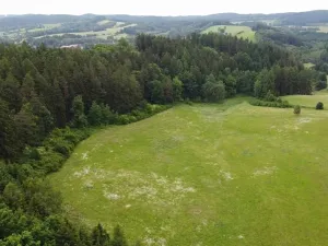 Dražba louky, Chotěvice, 8782 m2