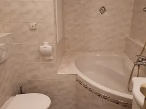Pronájem bytu 1+1, Lovosice, Kmochova, 36 m2