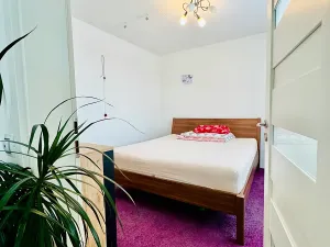 Pronájem bytu 4+1, Brno, Svážná, 78 m2