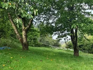 Prodej chaty, Třešť, Vozábova, 92 m2